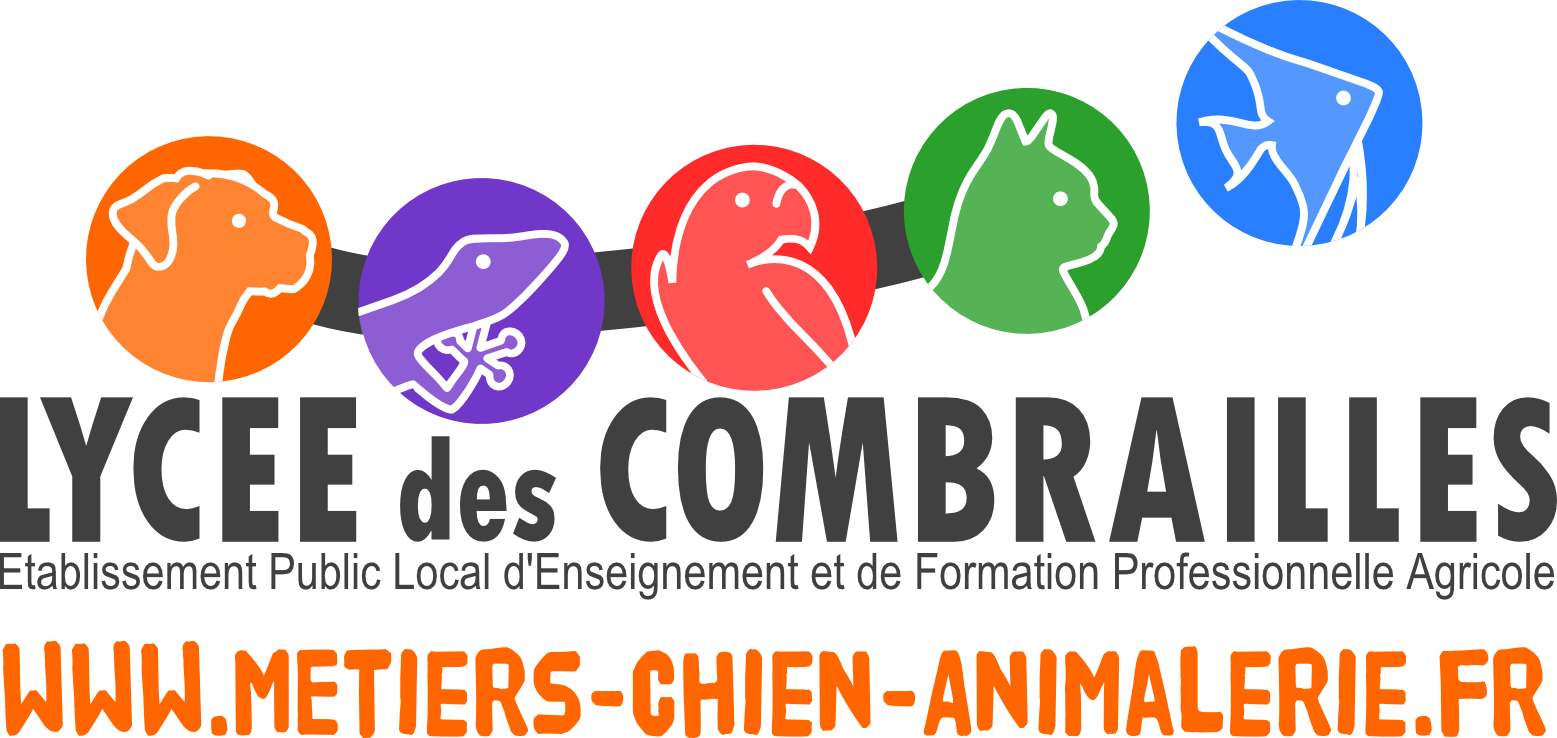 Formations aux métiers du chien, du chat et de l'animalerie